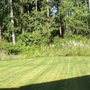 Photo of Top Garden Services