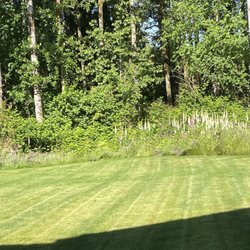 Top Garden Services - Freshly mowed back yard