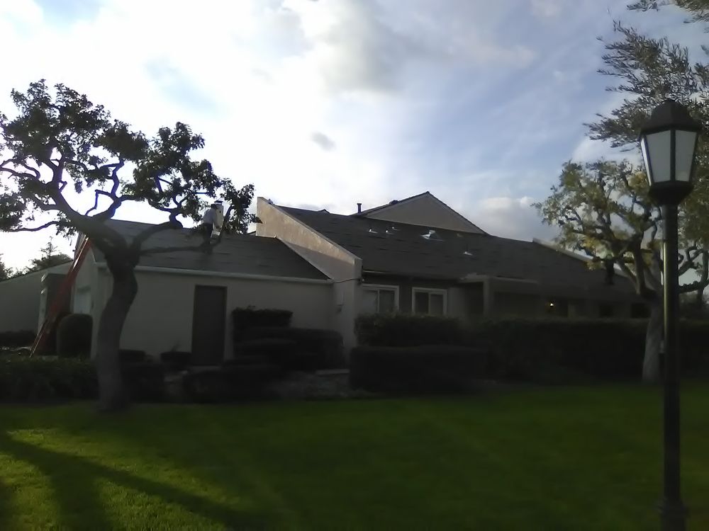 Slide of Most Wanted Roofing & Remodeling