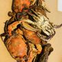 Photo of Crab Bag