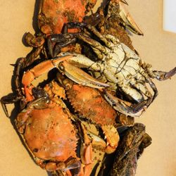 Crab Bag