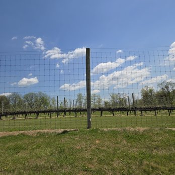 Capstone Vineyards - Wineries Near Me - Linden, Virginia