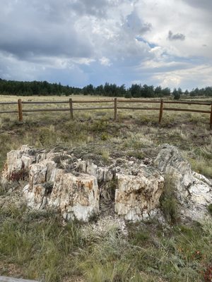 Florissant Fossil Beds National Monument by null