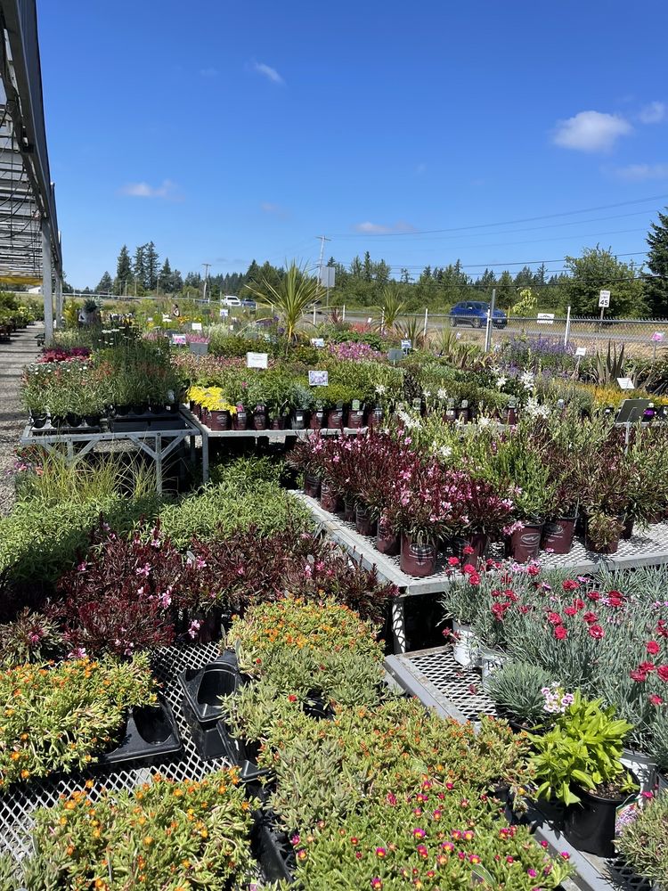 TONY’S GARDEN CENTER 14 Photos & 18 Reviews 23900 SE Hwy 212