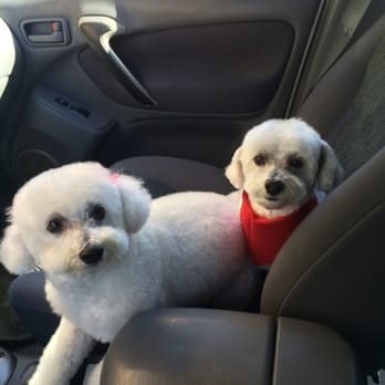 Annie's Pet Parlor - Happy customers! - Pet Groomers Near Me - Phoenix, Arizona