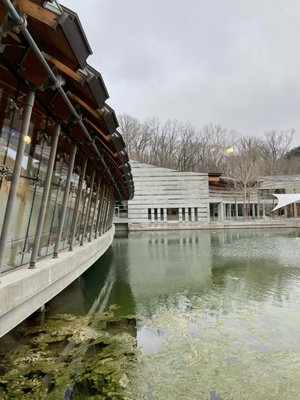 Eleven at Crystal Bridges by null