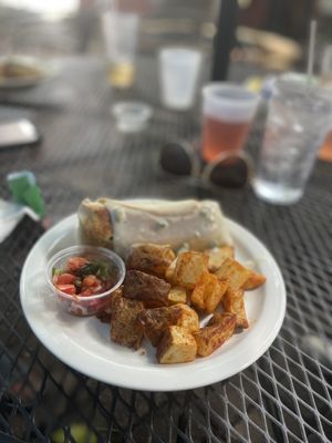 The Blind Mule by null