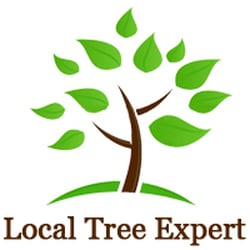Tree services