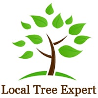 Tree services - tree service in Hartford, CT