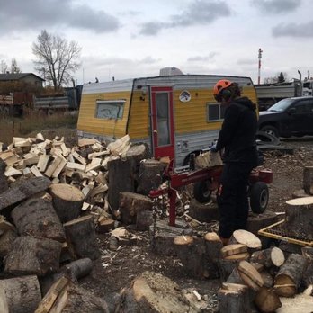 Raven Tree Service - Photo - Tree Services Near Me
