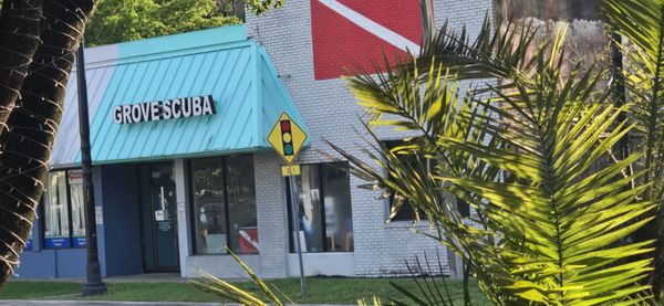 Coconut Grove by null