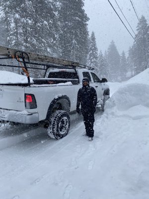 Black Bear Painting and Roofing Logo