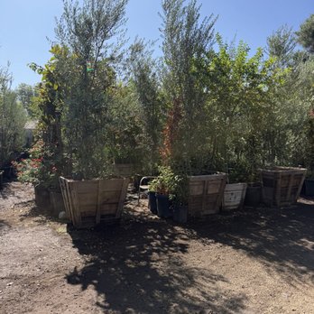 Casa Verde Nursery - Nurseries & Gardening Near Me - Wildomar, California