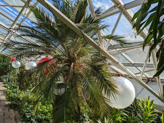 Foellinger-Freimann Botanical Conservatory by null