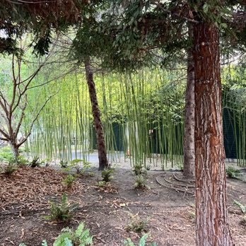 Salesforce Park - Parks Near Me - San Francisco, California Salesforce Park - Parks Near Me - San Francisco, California