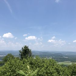 Bald Eagle Mountain