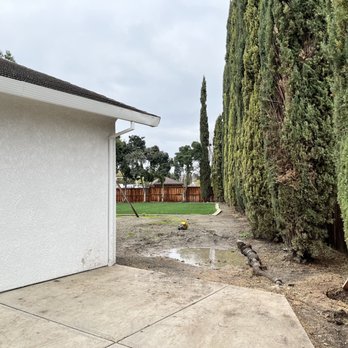 SSAW Tree & Gardening Services - Emergency tree removal. - Tree Services Near Me - Tracy, California SSAW Tree & Gardening Services - Emergency tree removal. - Tree Services Near Me - Tracy, California