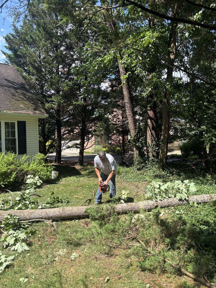 Allegheny Services - tree service in Charleston, WV