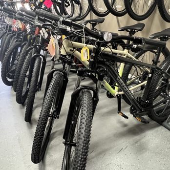 Bicycle Doctor - Bikes Near Me - Bunnell, Florida