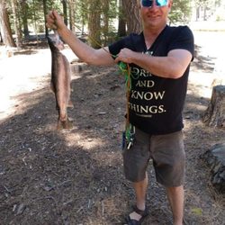 MC Handyman Services