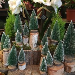 Creekside Garden Center & Landscaping