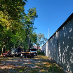 Timber Taskforce Tree Service - After on the commercial building clearance