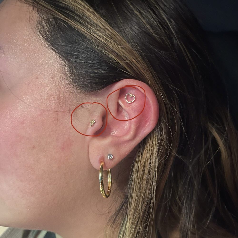 Heart: flat snake: tragus Heart: flat snake: tragus