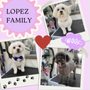 Photo of Oh So Cute! Dog Grooming