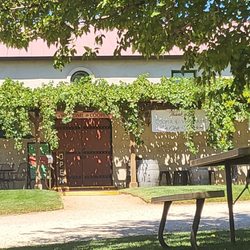 Cooper Vineyards