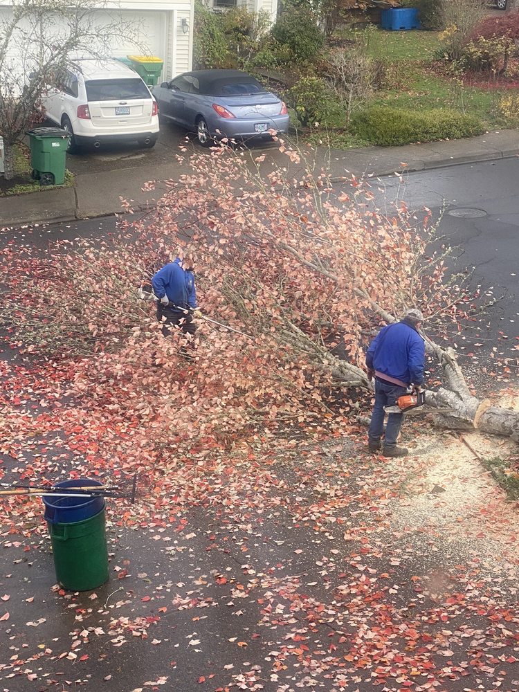 CASCADE LANDSCAPE & CONSTRUCTION Landscaping Sherwood, OR Phone