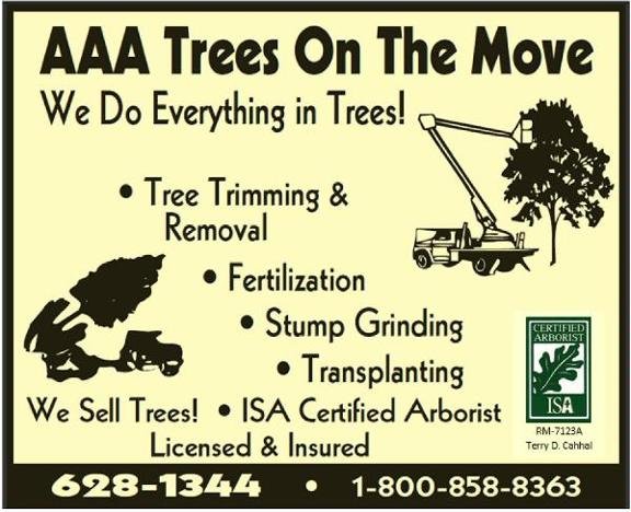 AAA Trees On The Move - tree service in Joliet, MT