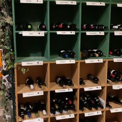 Vino Wine