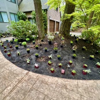 Wild Oasis Landscapes - Planting design - Landscaping Near Me Wild Oasis Landscapes - Planting design - Landscaping Near Me