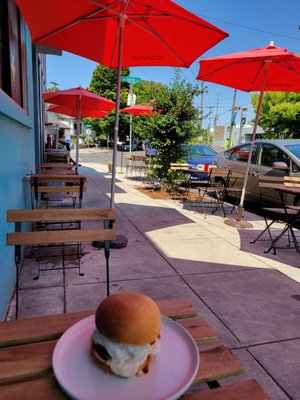 Piccone’s Corner by null