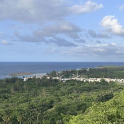 El Cliff - Vista