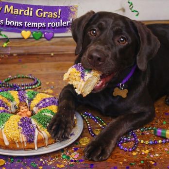 Bark N' Bubbles - Pet Groomers Near Me - Longview, Texas Bark N' Bubbles - Pet Groomers Near Me - Longview, Texas