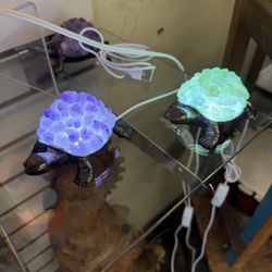 Julian Mercantile - Lighted turtles