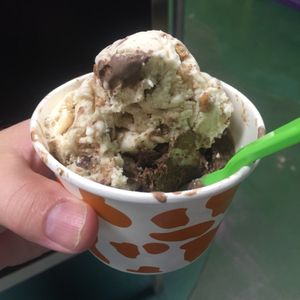 SMALL TOWN CREAMERY - 160 Photos & 147 Reviews - Ice Cream & Frozen