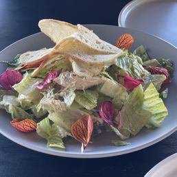 Romaine salad
