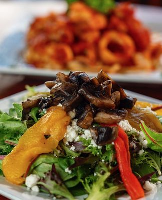 Mama Mia 44SW by null