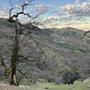 Photo of Lockwood Hunting Services