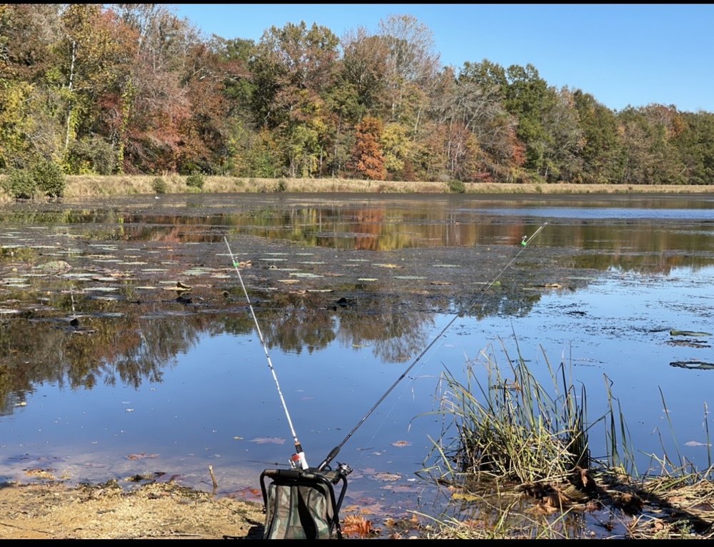 MYRTLE GROVE WMA Updated August 2024 10 Photos 5625 Myrtle Grove