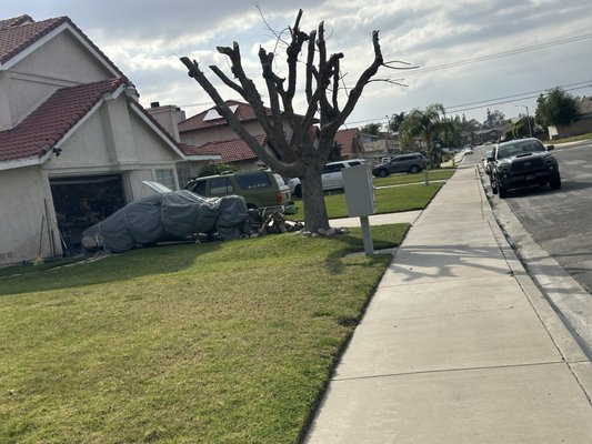 Junk removal - Call you us now , free estimate 909-419-2040 It will be a pleasure to help you clean this area and give it a better look.