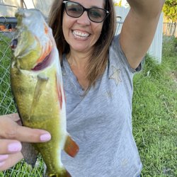 Old Cutler Bay Bait & Tackle - From a Lake in Kendall with worms from @OldCutlerBait&Tackle