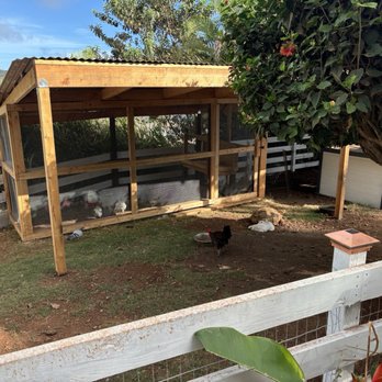 Circle M Ranch - Shelldon and his little lamb buddy in the coup. - Horseback Riding Near Me - Wailuku, Hawaii