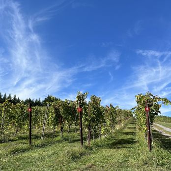 Catoctin Breeze Vineyard - Wineries Near Me - Thurmont, Maryland