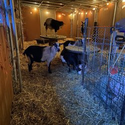 No Regrets Farm & Sanctuary