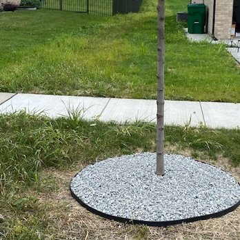 Bernardin Landscaping - a small tree in a graveled area - Lawn Services Near Me - Mokena, Illinois