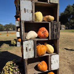 Little Field Farms