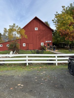 Saginaw Vineyard by null